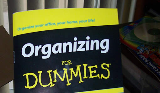 organizing-for-dummies-2.jpg